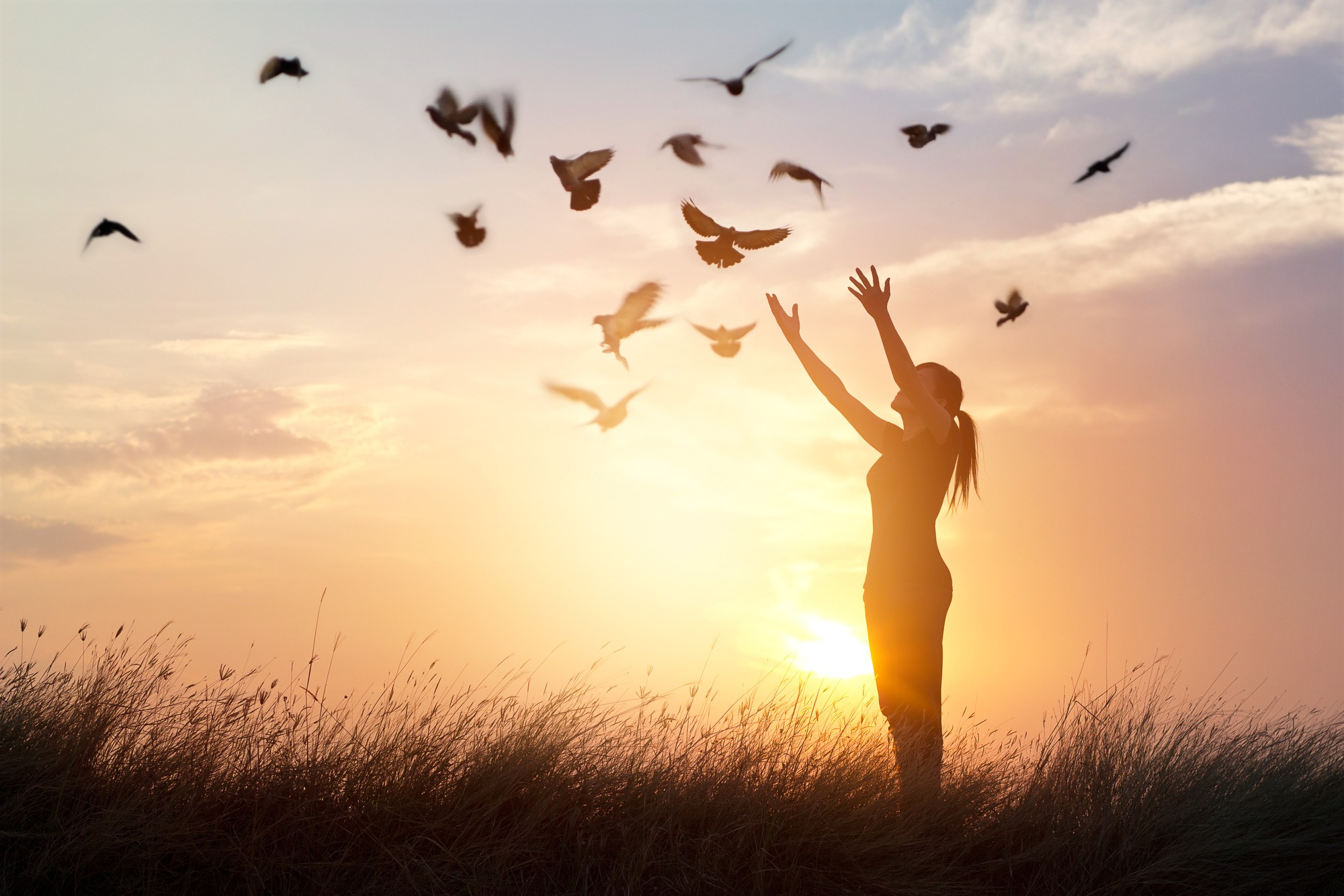 A silhouette of a woman with arms raised, surrounded by birds flying against a vibrant sunset. The scene symbolizes freedom and connection with nature.